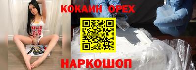 крисы Дубна
