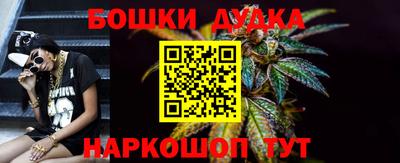 крисы Дубна