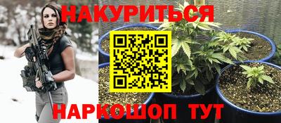 крисы Дубна