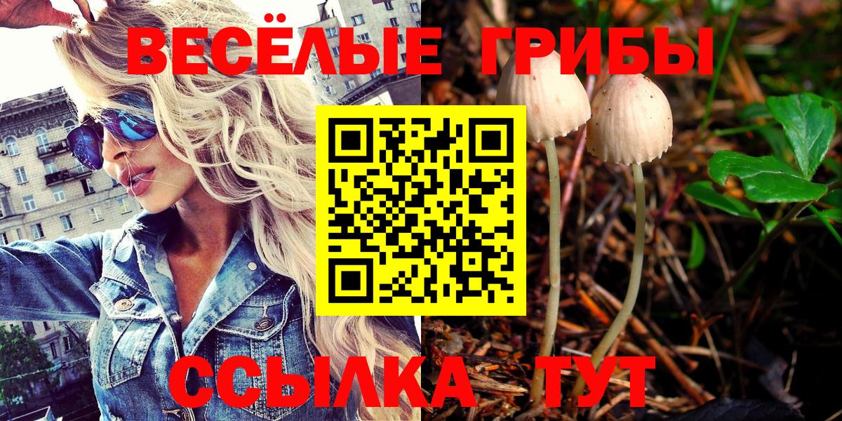 Калуга  Галлюциногенные грибы мицелий  Вход с VPN 